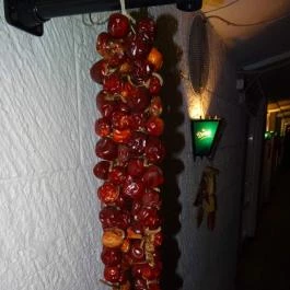 Szegedi Halászcsárda Budapest - Belső