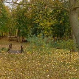 Szent András Kastély Bölcske - Környék