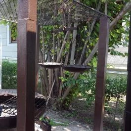 Szomszéd Kertje Csopak - Külső kép