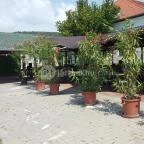 Szomszéd Kertje Csopak - Külső kép