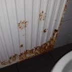 Sztráda Grill Étterem Hatvan - Egyéb