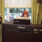 Tavirózsa Étterem Hévíz - Egyéb