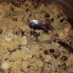 Tavirózsa Étterem Hévíz - Étel/ital