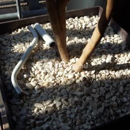 The Terrace, Budapest - Belső