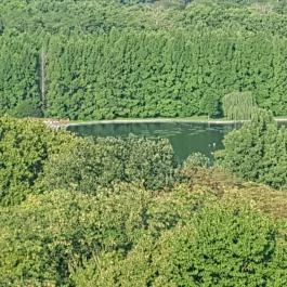 Ensana Thermal Hévíz, Hévíz - Környék