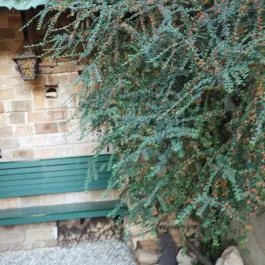 Tizen1 Kávézó Veszprém - Külső kép