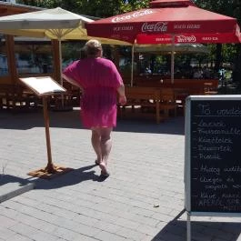 Tó Vendéglő Balatonf?zf? - Külső kép