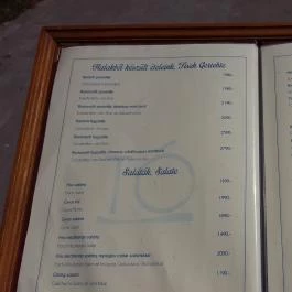 Tó Vendéglő Balatonf?zf? - Étlap/itallap