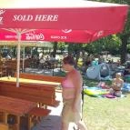 Tó Vendéglő Balatonf?zf? - Külső kép