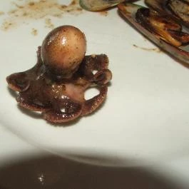 Trófea Grill Étterem - Zugló, Budapest - Étel/ital