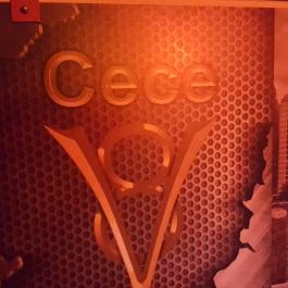 V8 Vendéglő, Cece - Egyéb