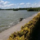 Velence Resort & Spa Velence - Környék