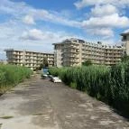 Velence Resort & Spa Velence - Környék