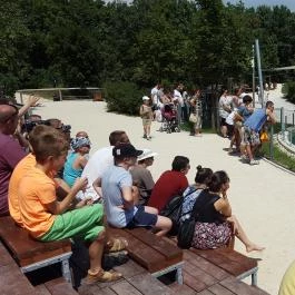 Veszprémi Állatkert, Veszprém - 