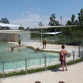 Veszprémi Állatkert, Veszprém - 