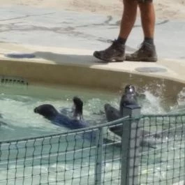 Veszprémi Állatkert, Veszprém - 