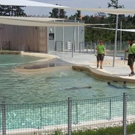 Veszprémi Állatkert, Veszprém - 