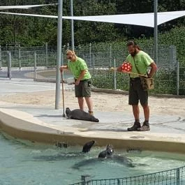 Veszprémi Állatkert, Veszprém - 