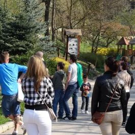 Veszprémi Állatkert, Veszprém - 