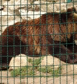 Veszprémi Állatkert