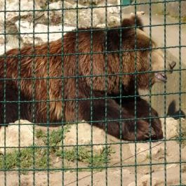 Veszprémi Állatkert, Veszprém - 