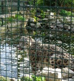 Veszprémi Állatkert