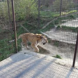 Veszprémi Állatkert, Veszprém - 