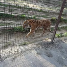 Veszprémi Állatkert, Veszprém - 