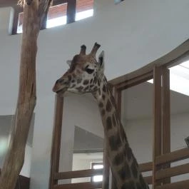 Veszprémi Állatkert, Veszprém - 