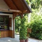 Zirci Arborétum Zirc - 