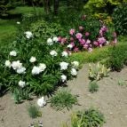 Zirci Arborétum Zirc - 