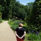 Zirci Arborétum Zirc - 