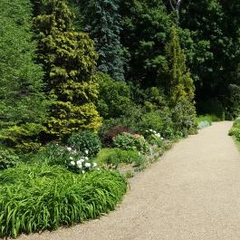 Zirci Arborétum, Zirc - 