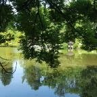 Zirci Arborétum Zirc - 