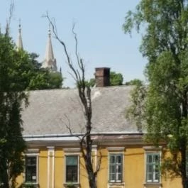 Zirci Arborétum, Zirc - 