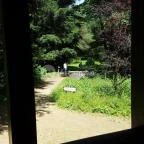 Zirci Arborétum Zirc - 