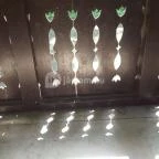 Zirci Arborétum Zirc - 