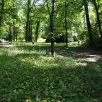 Zirci Arborétum Zirc - 