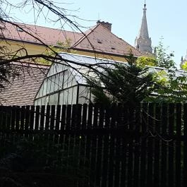 Zirci Arborétum, Zirc - 