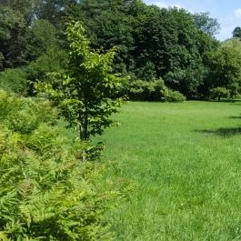 Zirci Arborétum, Zirc - 