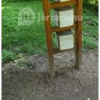 Zirci Arborétum Zirc - 