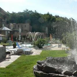 Silvanus Wellness & Konferencia Hotel Visegrád - Medence/kert