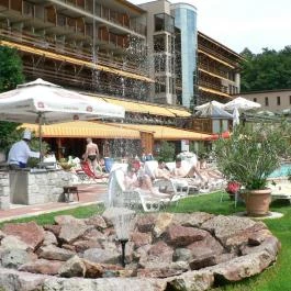 Silvanus Wellness & Konferencia Hotel Visegrád - Medence/kert