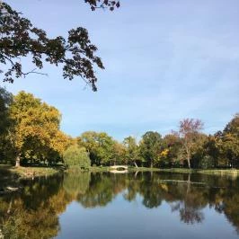 Károlyi Kastély Hotel & Restaurant Fehérvárcsurgó - Környék