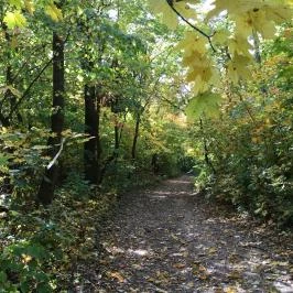 Károlyi Kastély Hotel & Restaurant Fehérvárcsurgó - Környék