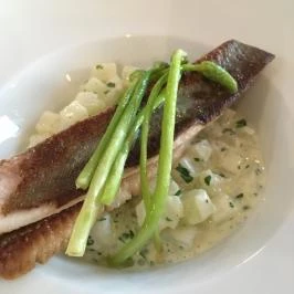 Natura Hill Vendégház Zebegény - Vendéglátás