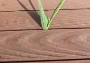 Pole Position Beach Hotel Balatonszárszó