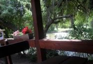 Placc Étterem Székesfehérvár