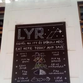 LYR Speciality Coffee & Food 100% Vegan, Pécs - Egyéb