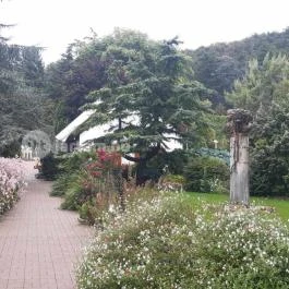 Folly Arborétum, Badacsonyörs - Egyéb